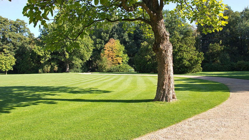 Trädgårdsunderhåll och stensättning